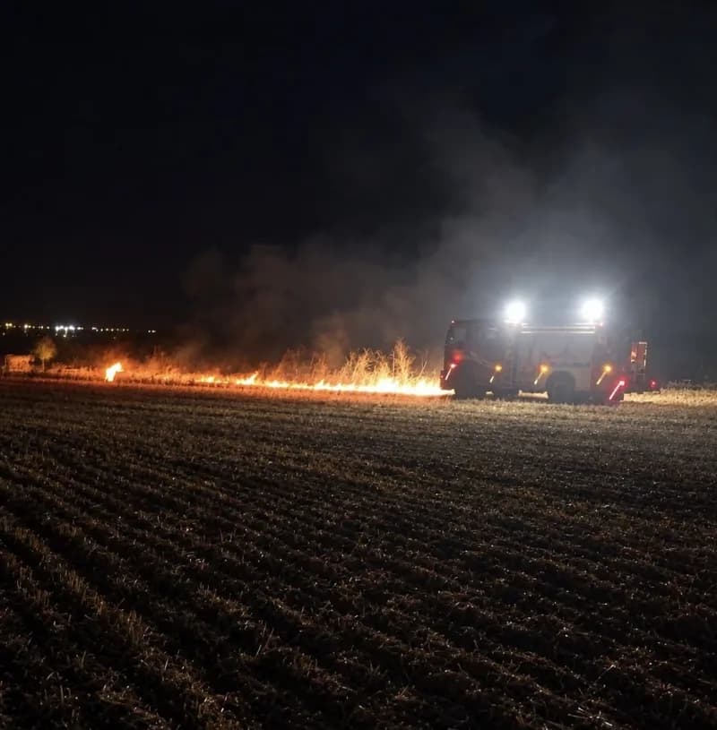 Tekirdağ Muratlı ilçesinde açık alanda çıkan yangına itfaiye ekipleri müdahale ediyor
