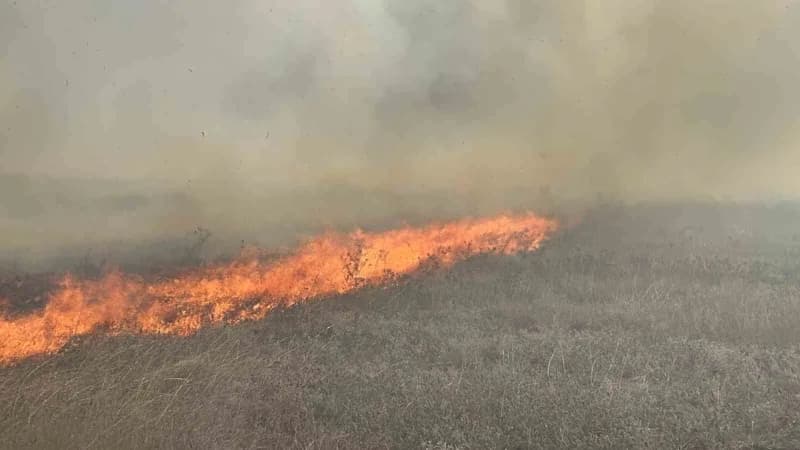 Tekirdağ Muratlı ilçesinde merada çıkan yangının ardından itfaiye ekipleri yangını söndürme çalışmalarını sürdürüyor