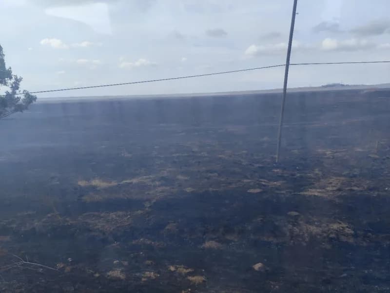 İtfaiye ekiplerinin uzun uğraşları sonucu yangın kontrol altına alınarak söndürüldü. Ekipler, bölgede soğutma çalışmalar