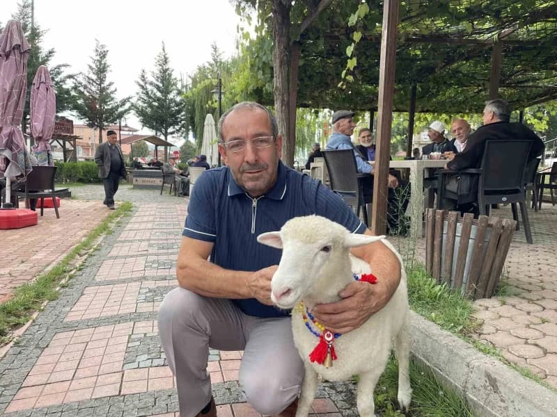 Samsun Kavak'ta halkın sevdiği sevimli kuzu Tertip çocuklarla parkta oynuyor