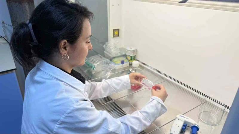 Tokat Gaziosmanpaşa Üniversitesi (TOGÜ) Öğretim Üyesi Doç. Dr. Nazan Gökşen Tosun'un yürütücülüğünde, hedefli kanser ted