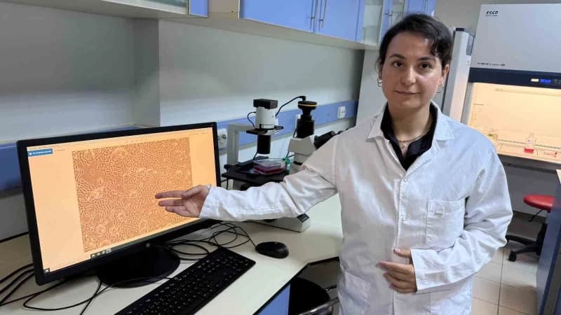 Tokat Gaziosmanpaşa Üniversitesi (TOGÜ) Öğretim Üyesi Doç. Dr. Nazan Gökşen Tosun