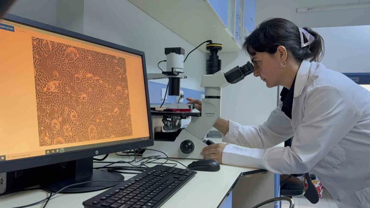 Tokat Gaziosmanpaşa Üniversitesi (TOGÜ) Öğretim Üyesi Doç. Dr. Nazan Gökşen Tosun'un yürütücülüğünde, hedefli kanser ted