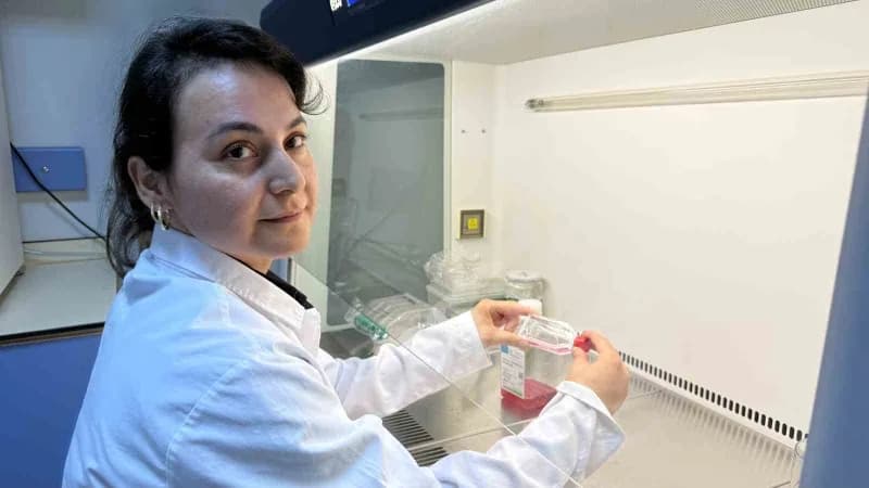 Tokat Gaziosmanpaşa Üniversitesi (TOGÜ) Öğretim Üyesi Doç. Dr. Nazan Gökşen Tosun'un yürütücülüğünde, hedefli kanser ted