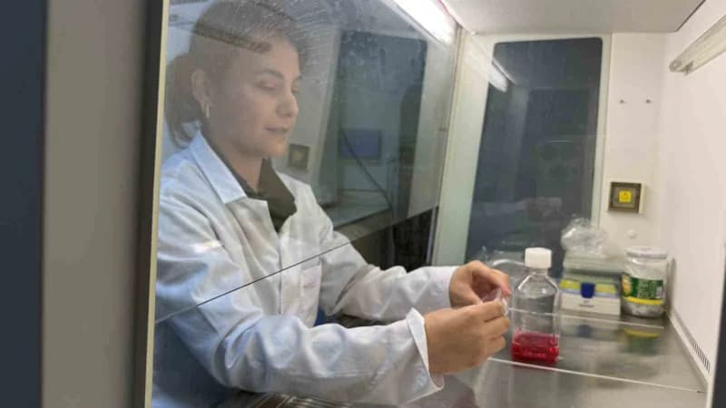 Tokat Gaziosmanpaşa Üniversitesi (TOGÜ) Öğretim Üyesi Doç. Dr. Nazan Gökşen Tosun'un yürütücülüğünde, hedefli kanser ted