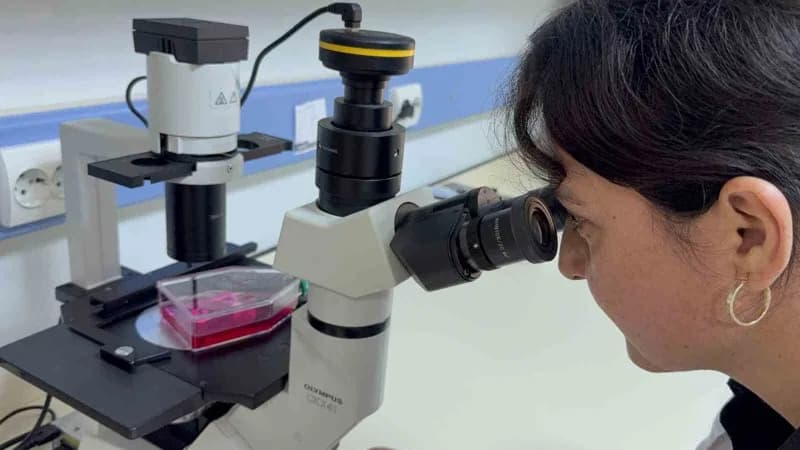Tokat Gaziosmanpaşa Üniversitesi (TOGÜ) Öğretim Üyesi Doç. Dr. Nazan Gökşen Tosun'un yürütücülüğünde, hedefli kanser ted