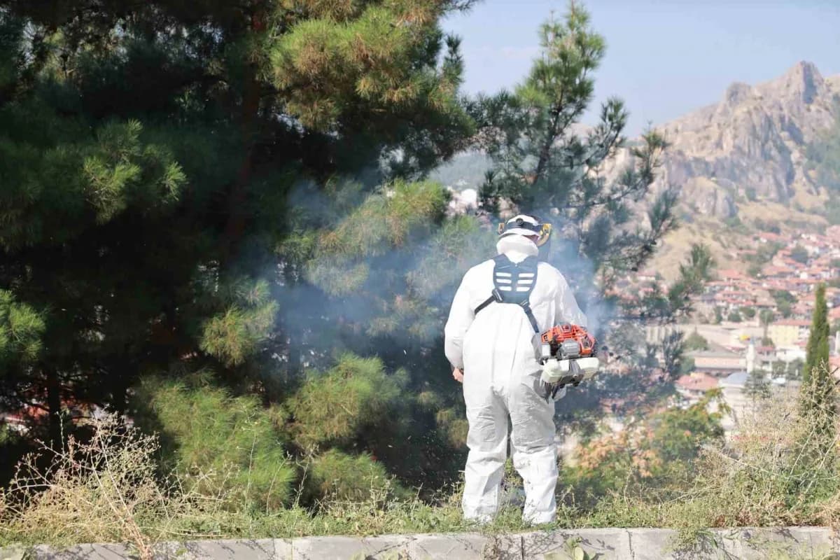 Tokat Belediyesi, kent genelindeki 35 mezarlıkta yürütülen bakım ve çevre düzenleme çalışmalarında kullanılmak üzere Mez