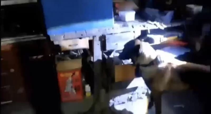 Tokat’ta jandarma ekiplerinin yasa dışı silah operasyonunda ele geçirilen silahlar ve mühimmat