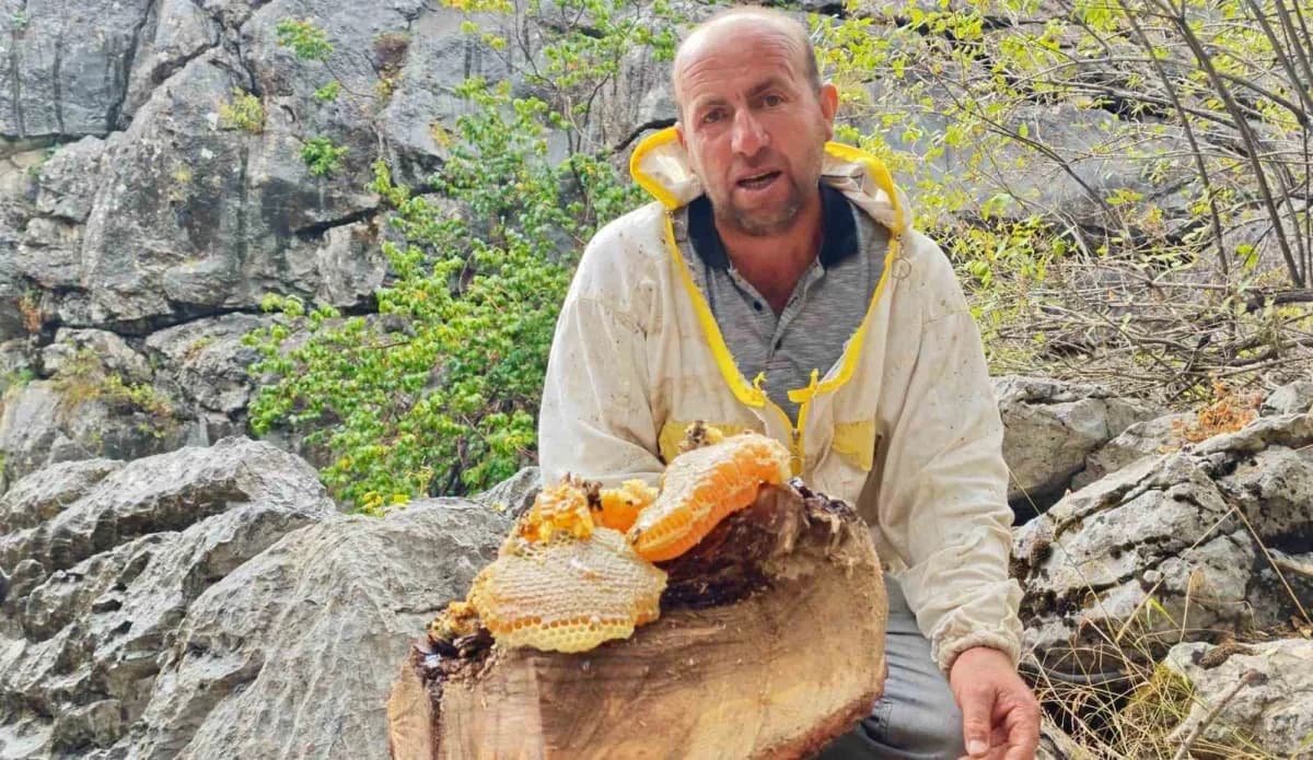 Antalya'nın yaylalarında kovanlardan oğul vererek ayrılan arıların peşine düşen bal avcıları, günlerce süren zorlu takib