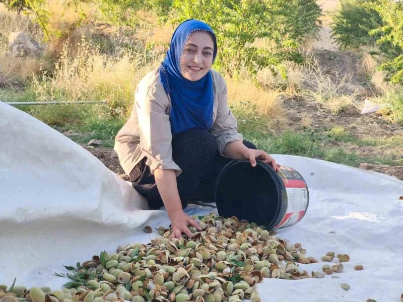 Tunceli'nin Çemişgezek ilçesine bağlı bağlı Vişneli köyünde yaşayan 4 çocuk annesi Ayşe Balcı, Tarım ve Orman Bakanlığın