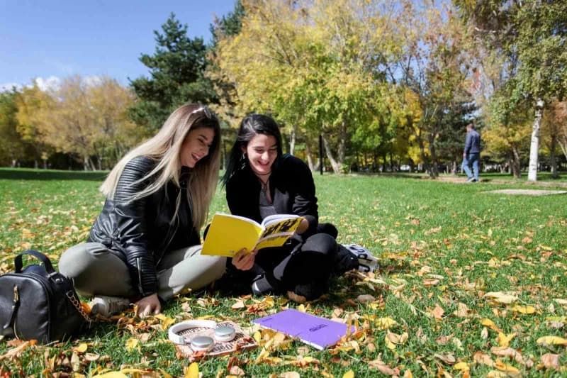 Atatürk Üniversitesi öğrencilerinin ağaçların form, yaprak ve çiçek renklerine yönelik algılarını gösteren renkli görsel