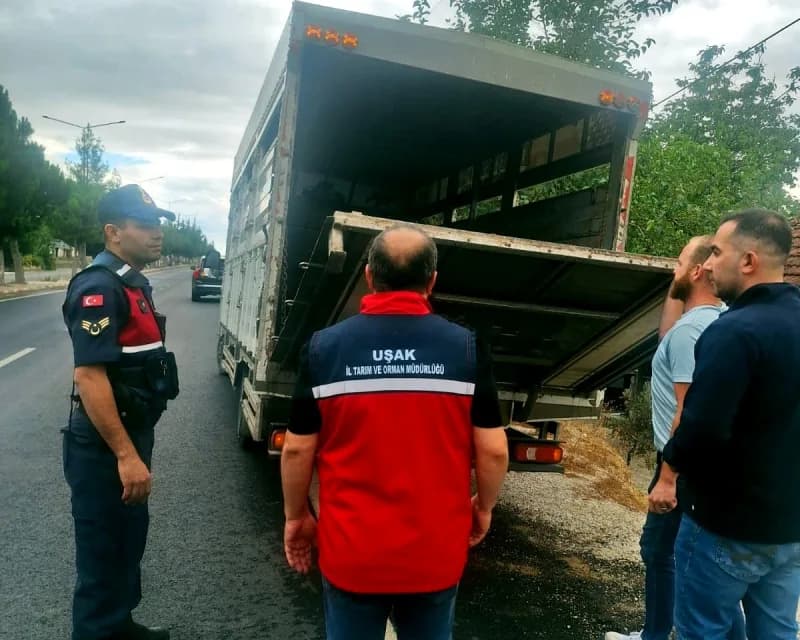 Uşak’ta hayvan hastalıklarının önlenmesi ve hayvan sağlığının korunması amacıyla kent genelinde yol kontrol ve denetimle
