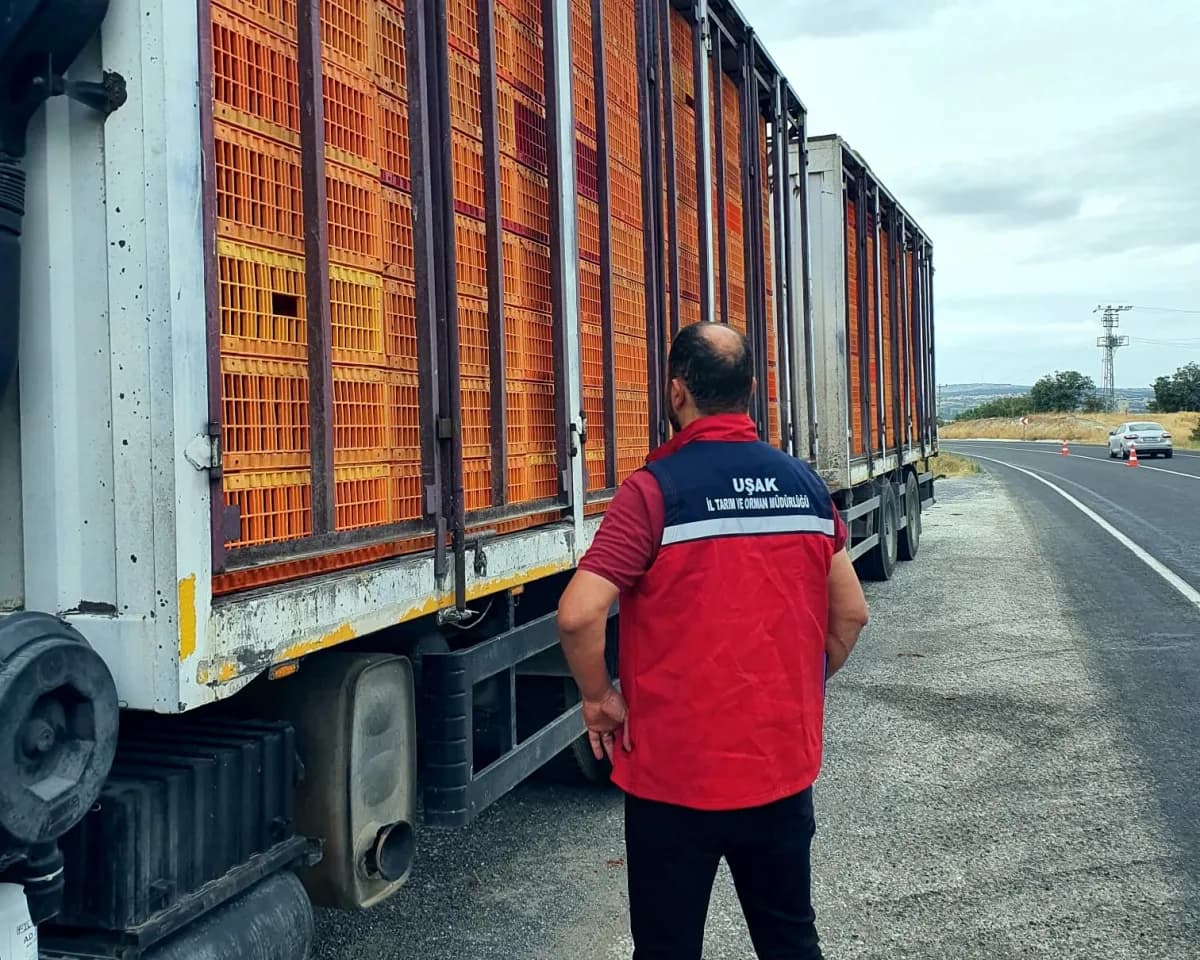 Uşak’ta hayvan hastalıklarına karşı yol kontrol ve denetim yapan ekipler