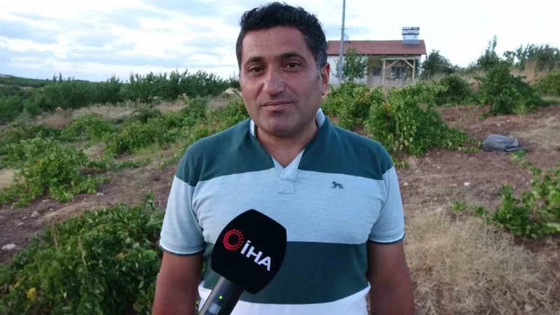 Osman Yiğit