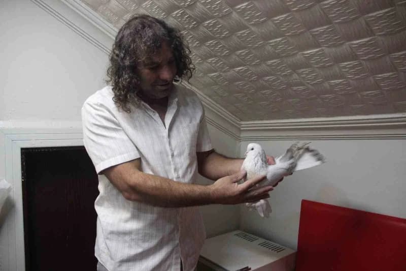 Muğdat Gültekin, Güvercin sevgisini anlattı.