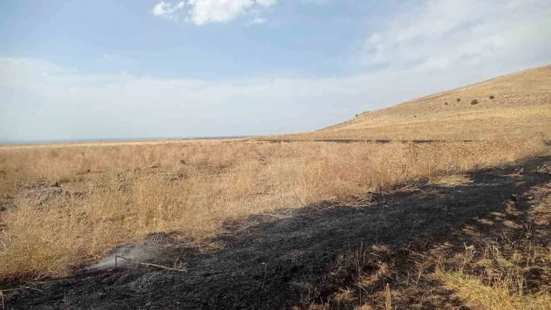 Van'ın Gevaş ilçesinde çıkan örtü üstü yangın, İtfaiye ekipleri tarafından söndürüldü.