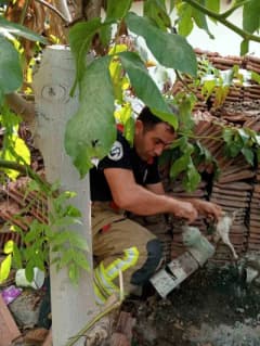 Hatay İskenderun'da vanaya sıkışan yavru kediyi kurtarmak için itfaiye ekipleri müdahale ediyor