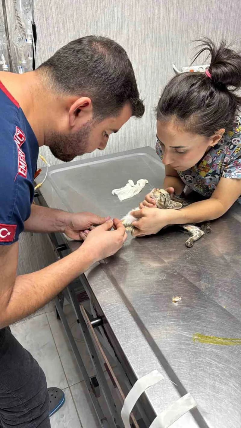 Hatay'da girdiği borunun vanasında sıkışarak mahsur kalan yavru kedi, itfaiye ekiplerinin uzun süren çalışmasıyla kurtar