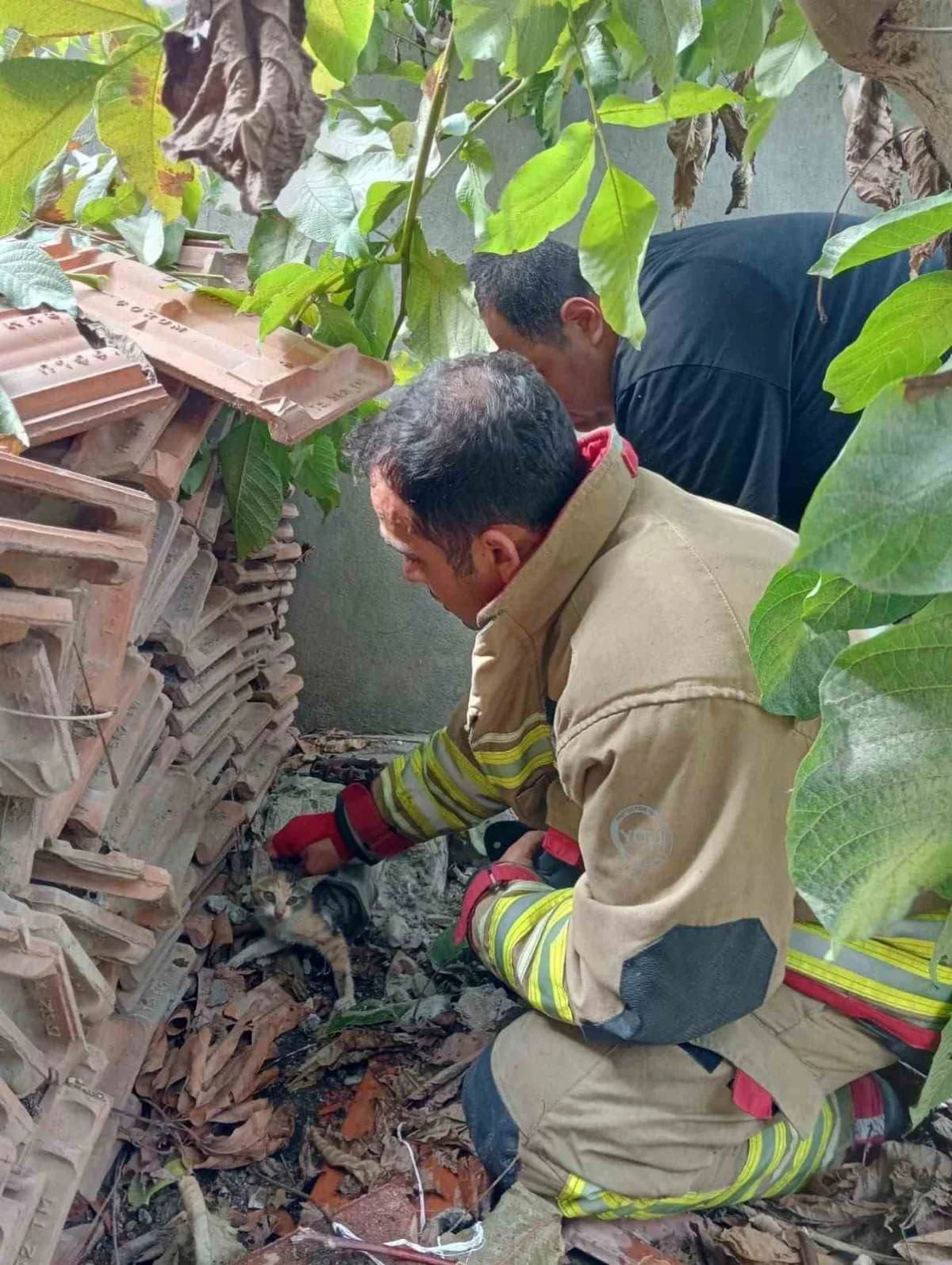 Hatay'da girdiği borunun vanasında sıkışarak mahsur kalan yavru kedi, itfaiye ekiplerinin uzun süren çalışmasıyla kurtar