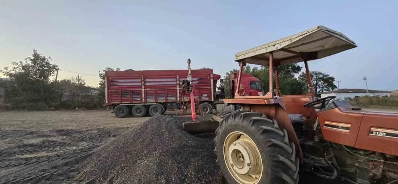 Karadeniz Yağlı Tohumlar Tarım Satış Kooperatifleri Birliği (KARADENİZBİRLİK), 2026 sezonu yağlık ayçiçeği ön alım fiyat