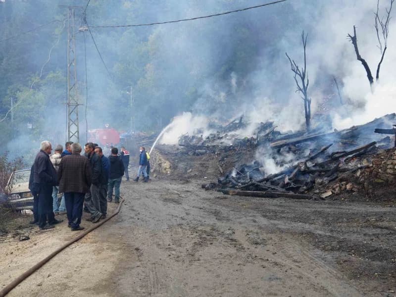 Kastamonu'nun İnebolu ilçesinde çıkan ve 11 evin yandığı köy, yangının söndürülmesinin ardından ortaya çıkan hasar havad