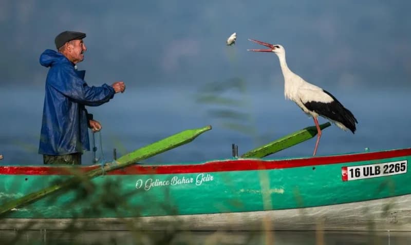Yaren Leylek ile balıkçı Adem Yılmaz’ın dostluğunu anlatan doğa fotoğrafçısı Alper Tüydeş İzmir Sanat Merkezi’nde