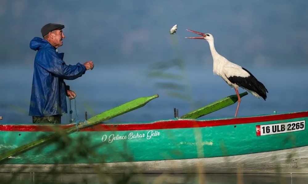 Yaren Leylek ile balıkçı Adem Yılmaz’ın dostluğunu anlatan doğa fotoğrafçısı Alper Tüydeş İzmir Sanat Merkezi’nde
