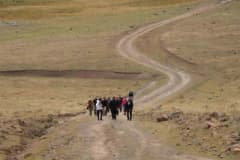 Erzurum Şenkaya sınırlarında Yasamal Yaylaları’nda doğa yürüyüşü yapan grup, yayla manzarasında yürüyüşe devam ediyor