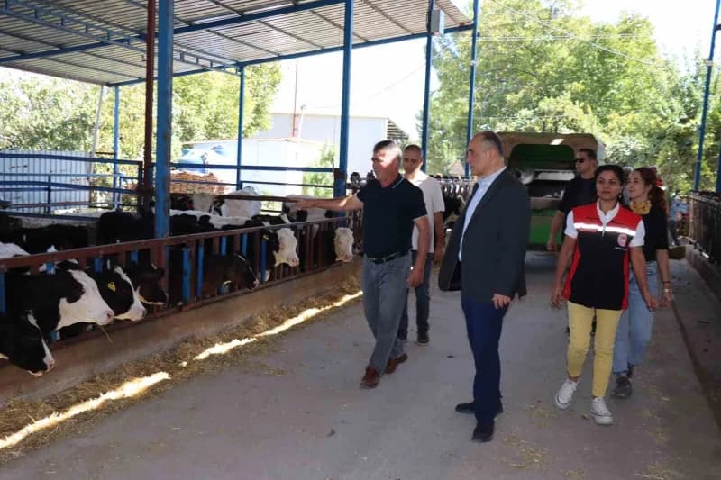 Muğla’nın Yatağan ilçesinde tarımsal üretime dikkat çekmek ve üreticilerin emeğini taçlandırmak amacıyla Hasat Şenliği g