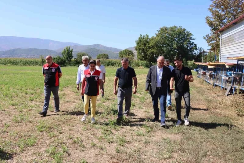 Muğla’nın Yatağan ilçesinde tarımsal üretime dikkat çekmek ve üreticilerin emeğini taçlandırmak amacıyla Hasat Şenliği g