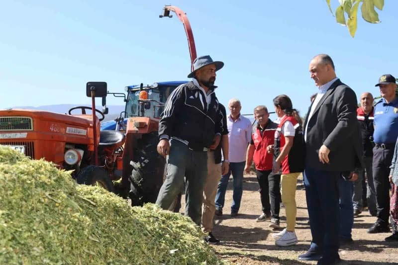 Muğla’nın Yatağan ilçesinde tarımsal üretime dikkat çekmek ve üreticilerin emeğini taçlandırmak amacıyla Hasat Şenliği g