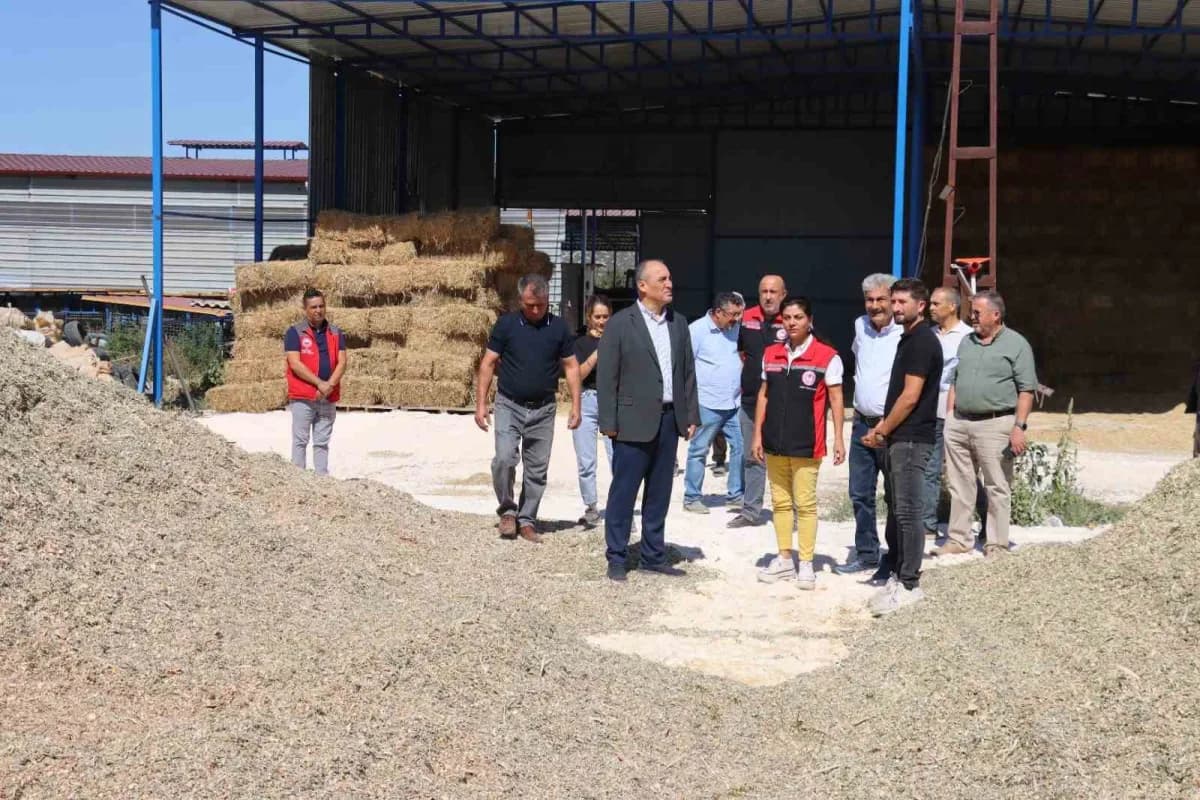 Muğla’nın Yatağan ilçesinde tarımsal üretime dikkat çekmek ve üreticilerin emeğini taçlandırmak amacıyla Hasat Şenliği g