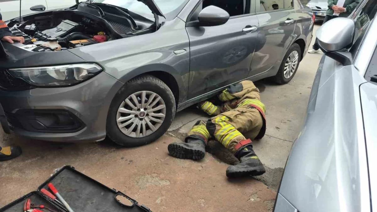 Düzce’nin Şerefiye Mahallesi’nde motor kısmına giren yavru kedi, İtfaiye ekiplerini uzun süre uğraştırdı. Bir araçtan çı
