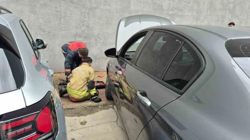 Düzce’nin Şerefiye Mahallesi’nde motor kısmına giren yavru kedi, İtfaiye ekiplerini uzun süre uğraştırdı. Bir araçtan çı