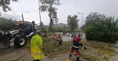 Hatay Yayladağı Çamaltı Mahallesi’nde fırtına nedeniyle aracın üzerine devrilen ağaç