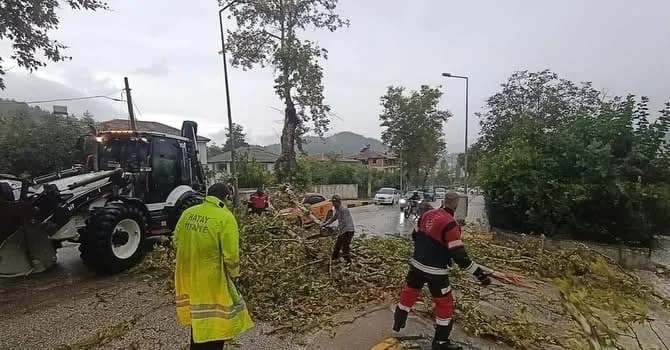 Hatay Yayladağı Çamaltı Mahallesi’nde fırtına nedeniyle aracın üzerine devrilen ağaç