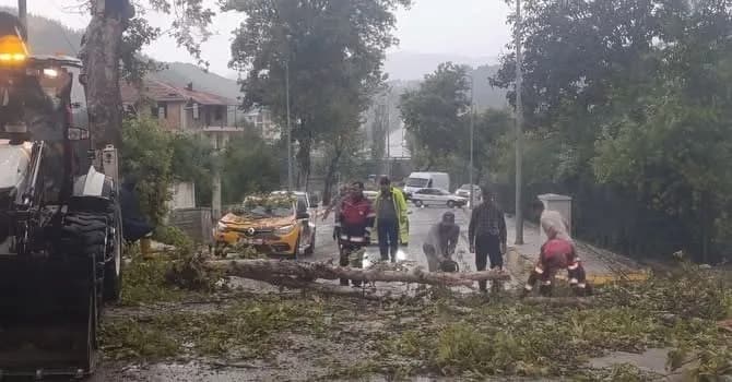 Yayladağı çamaltı Mahallesi’nde rüzgârın etkisiyle aracın üzerine devrilen ağacın ekipler tarafından kaldırılması.