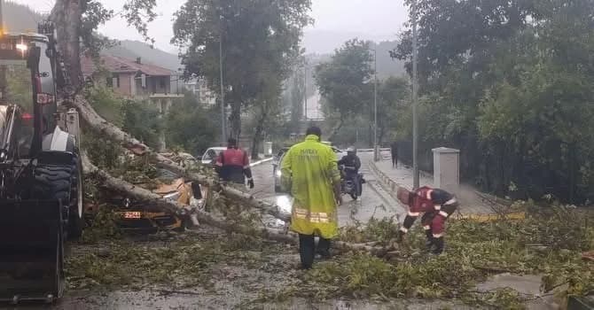 Yayladağı çamaltı Mahallesi’nde rüzgârın etkisiyle aracın üzerine devrilen ağacın ekipler tarafından kaldırılması.