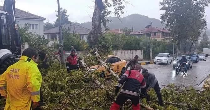 Yayladağı çamaltı Mahallesi’nde rüzgârın etkisiyle aracın üzerine devrilen ağacın ekipler tarafından kaldırılması.