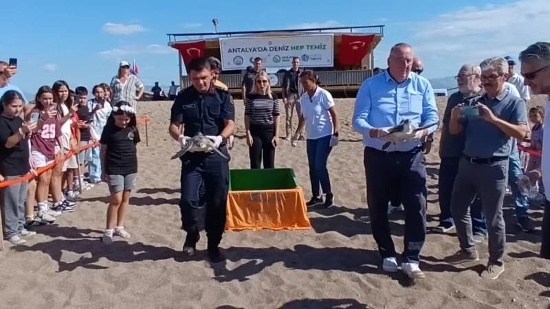 Antalya’nın Manavgat ilçesinde tedavi ve rehabilitasyonları tamamlanan yaklaşık 7 yaşındaki 2 yeşil Deniz Kaplumbağası,