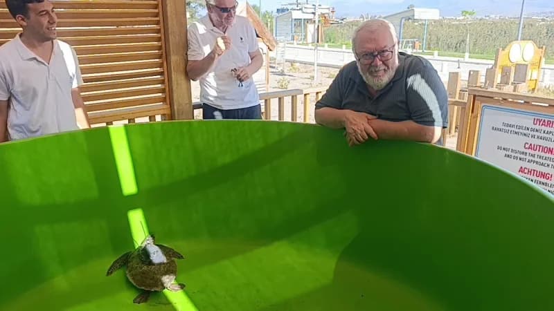 Antalya’nın Manavgat ilçesinde tedavi ve rehabilitasyonları tamamlanan yaklaşık 7 yaşındaki 2 yeşil Deniz Kaplumbağası,