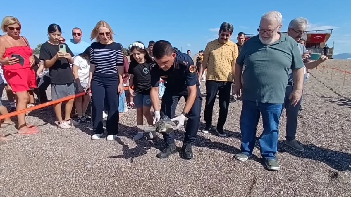 Antalya’nın Manavgat ilçesinde tedavi ve rehabilitasyonları tamamlanan yaklaşık 7 yaşındaki 2 yeşil Deniz Kaplumbağası,