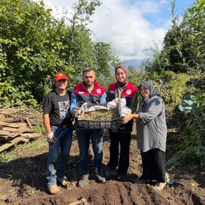Yığılca ilçesinde salep orkidesi dikimi yapan üretici ve tarım alanı
