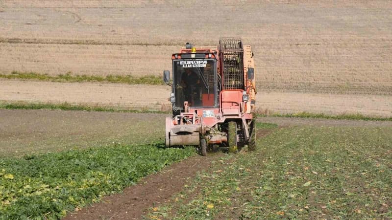 Yozgat’ta 6 aylık emeğin hasadı başladı: pancarlar tarladan çıkıyor
