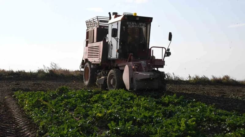 Yozgat’ta 6 aylık emeğin hasadı başladı: pancarlar tarladan çıkıyor