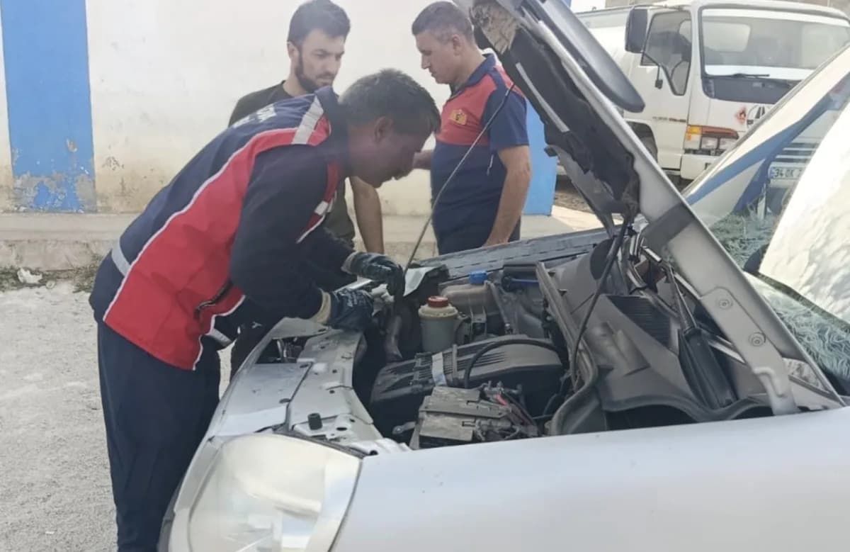 Hakkari’nin Yüksekova ilçesinde park halindeki ticari aracın motor ve alt bölümünde mahsur kalan kedi, İtfaiye ekiplerin