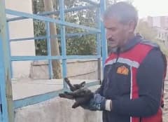 Yüksekova’da araç motor bölümünde mahsur kalan kedinin itfaiye ekiplerince kurtarılması