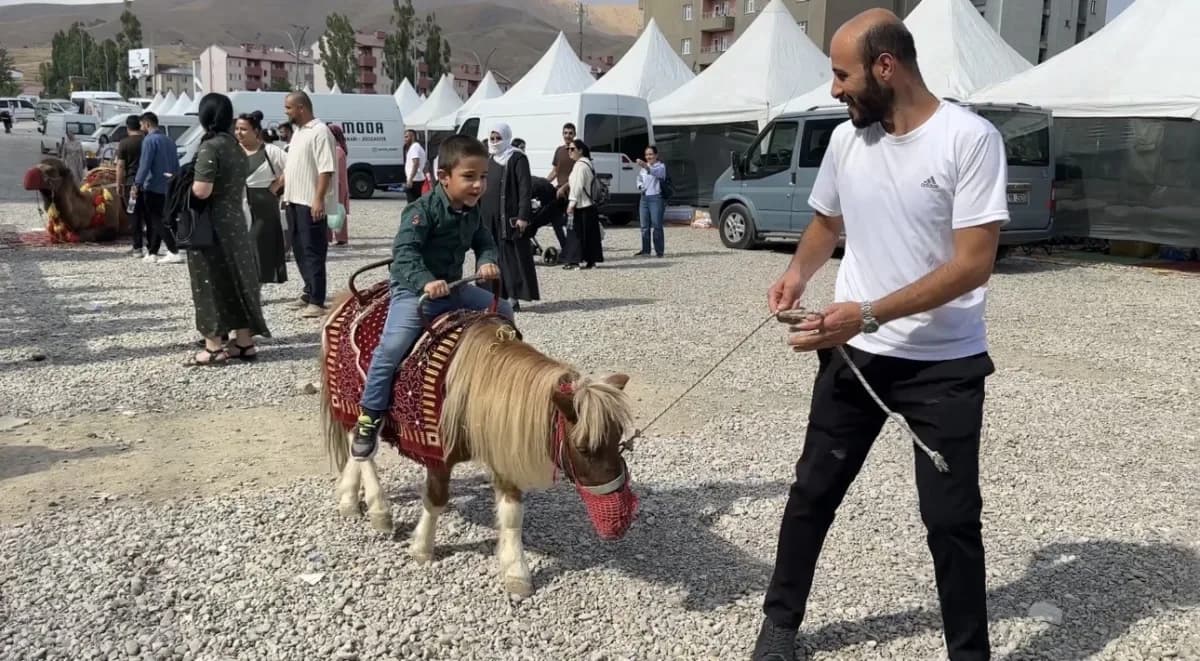 Hatay’dan Yüksekova ilçesine getirilen develer ve midilli atları, vatandaşlardan yoğun ilgi gördü.