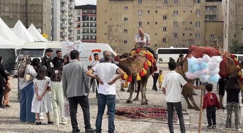 Hatay’dan Yüksekova ilçesine getirilen develer ve midilli atları, vatandaşlardan yoğun ilgi gördü.