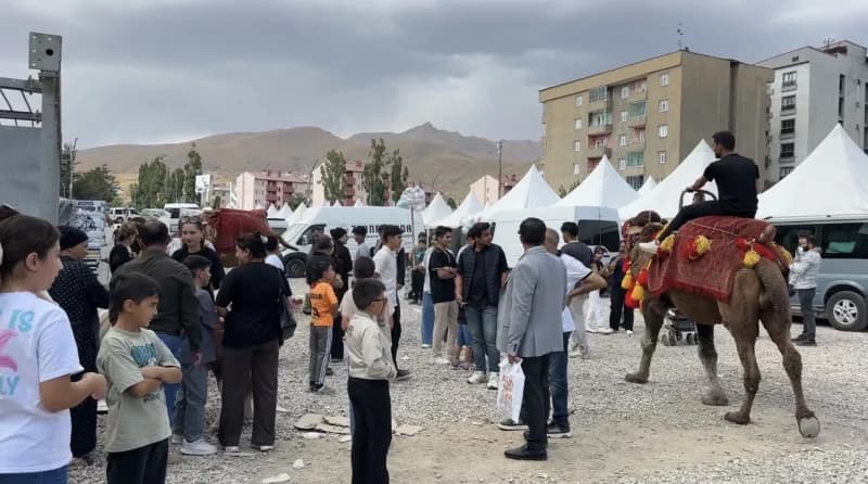 Hatay’dan Yüksekova ilçesine getirilen develer ve midilli atları, vatandaşlardan yoğun ilgi gördü.